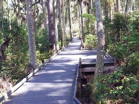 paddling Juniper Springs Run, Ocala National Forest, kayak, canoe