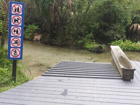 paddling Juniper Springs Run, Ocala National Forest, kayak, canoe