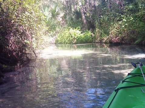 paddling Juniper Springs Run, Ocala National Forest, kayak, canoe