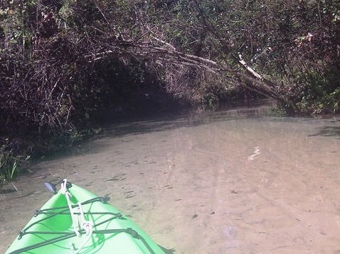 paddling Juniper Springs Run, Ocala National Forest, kayak, canoe