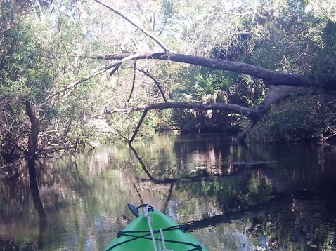 paddling Juniper Springs Run, Ocala National Forest, kayak, canoe