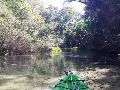 paddling Juniper Springs Run, Ocala National Forest, kayak, canoe