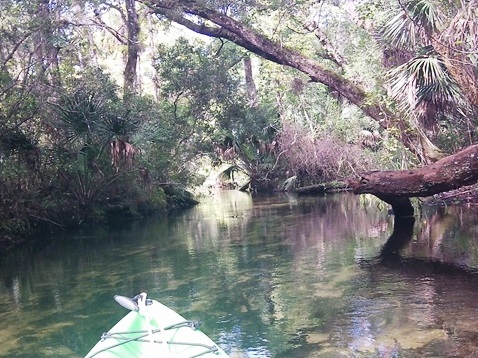 paddling Juniper Springs Run, Ocala National Forest, kayak, canoe