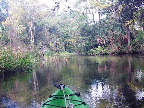 paddling Juniper Springs Run, Ocala National Forest, kayak, canoe