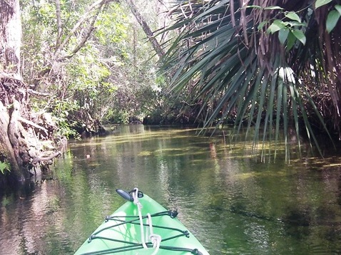 paddling Juniper Springs Run, Ocala National Forest, kayak, canoe