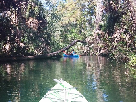 paddling Juniper Springs Run, Ocala National Forest, kayak, canoe