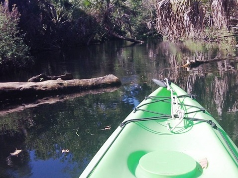 paddling Juniper Springs Run, Ocala National Forest, kayak, canoe