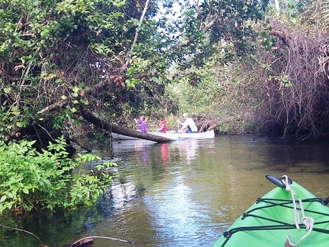 paddling Juniper Springs Run, Ocala National Forest, kayak, canoe