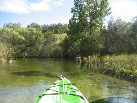 paddling Juniper Springs Run, Ocala National Forest, kayak, canoe