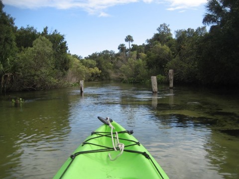 paddling Juniper Springs Run, Ocala National Forest, kayak, canoe