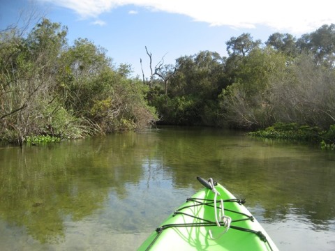 paddling Juniper Springs Run, Ocala National Forest, kayak, canoe
