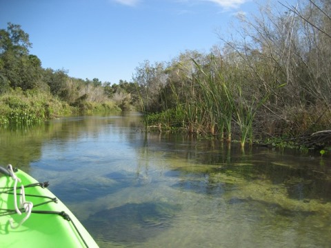 paddling Juniper Springs Run, Ocala National Forest, kayak, canoe