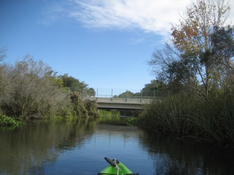 paddling Juniper Springs Run, Ocala National Forest, kayak, canoe