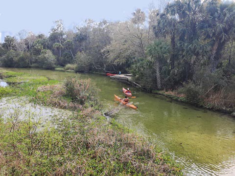 paddling Juniper Springs Run, Ocala National Forest, kayak, canoe