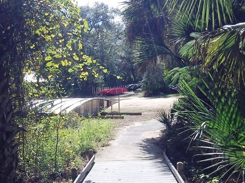 paddling Juniper Springs Run, Ocala National Forest, kayak, canoe