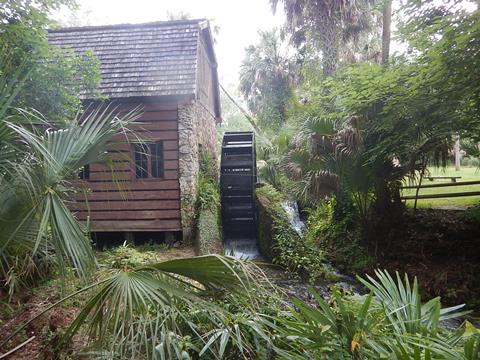 paddling Juniper Springs Run, Ocala National Forest, kayak, canoe