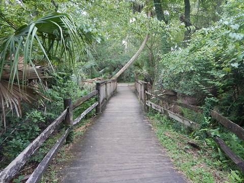 paddling Juniper Springs Run, Ocala National Forest, kayak, canoe