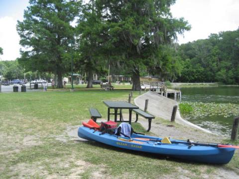 paddling Ocklawaha River, kayak, canoe