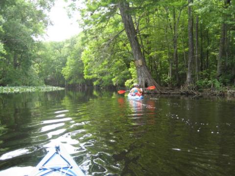 Ocklawaha River Chart