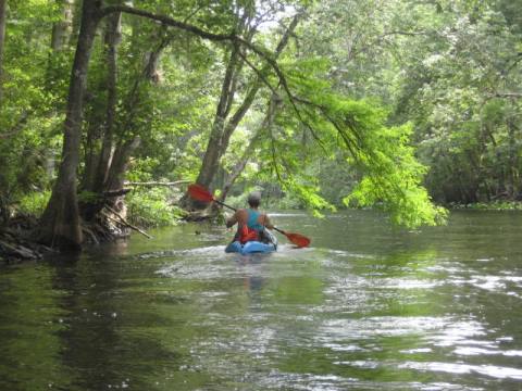 Ocklawaha River Chart