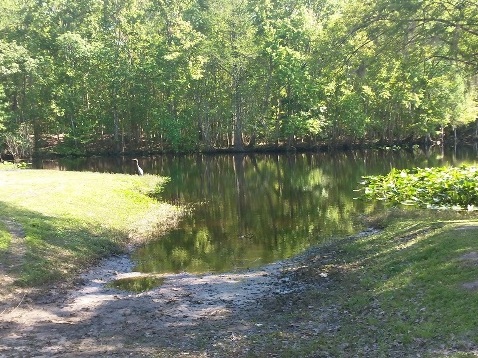 Ocklawaha River Chart