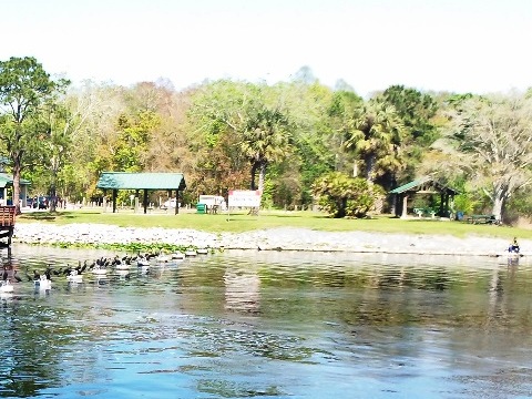 Ocklawaha River Chart