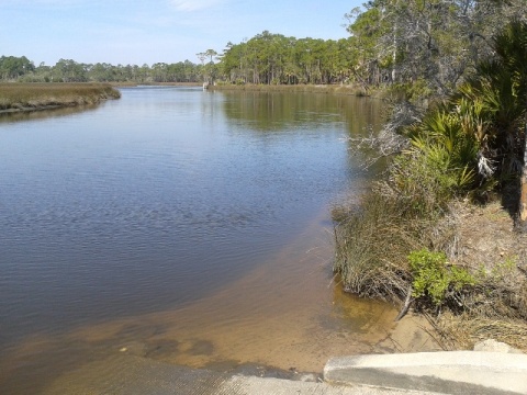 paddling Pellicer Creek, kayak, canoe