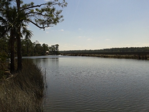 paddling Pellicer Creek, kayak, canoe