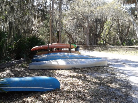 paddling Pellicer Creek, kayak, canoe