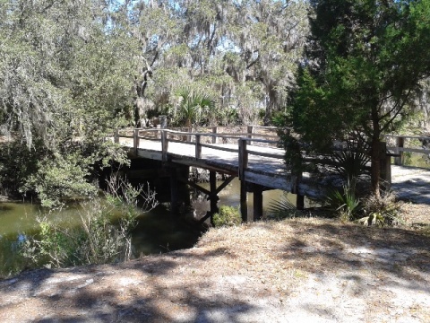 paddling Pellicer Creek, kayak, canoe