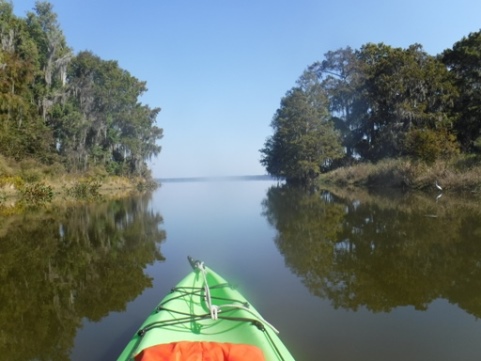 paddling Potano Paddling Trail, Newnan's Lake, kayak, canoe