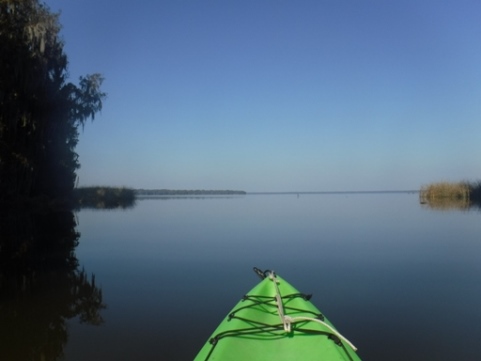 paddling Potano Paddling Trail, Newnan's Lake, kayak, canoe