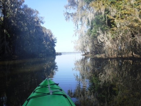 paddle Potano Padding Trail, kayak, canoe