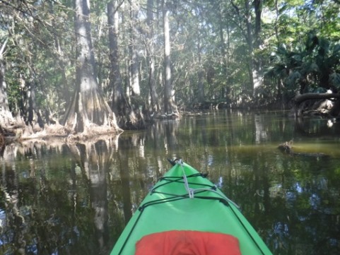 paddling Potano Paddling Trail, Prairie Creek, kayak, canoe