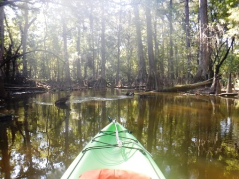 paddling Potano Paddling Trail, Prairie Creek, kayak, canoe