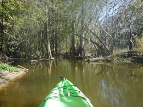 paddling Potano Paddling Trail, Prairie Creek, kayak, canoe