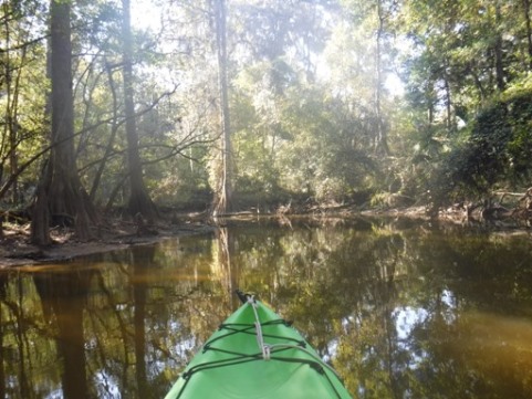 paddling Potano Paddling Trail, Prairie Creek, kayak, canoe