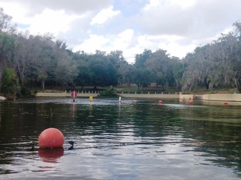 North Florida, Salt Springs Run