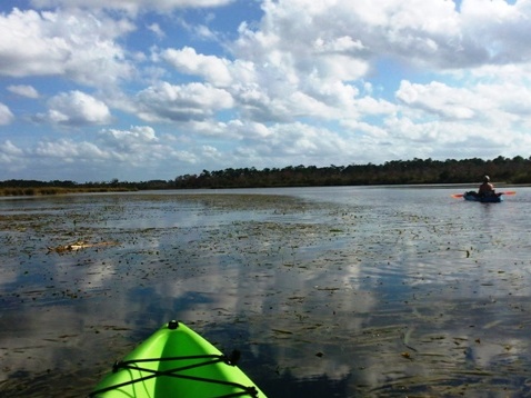 North Florida, Salt Springs Run