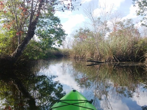 North Florida, Salt Springs Run