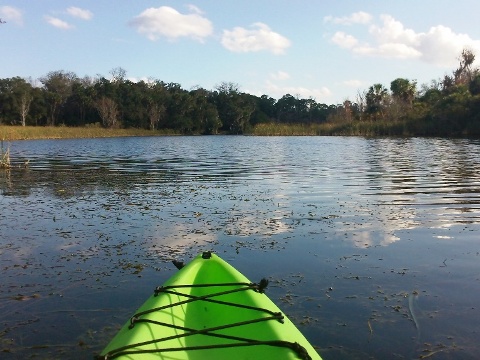 North Florida, Salt Springs Run