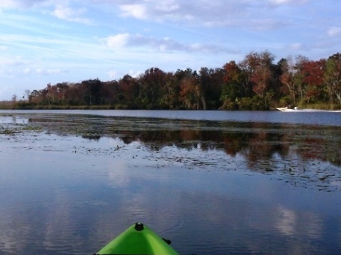 North Florida, Salt Springs Run