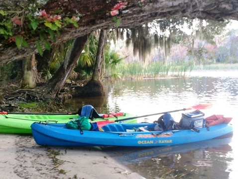 North Florida, Salt Springs Run