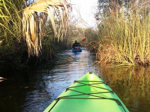 North Florida, Salt Springs Run