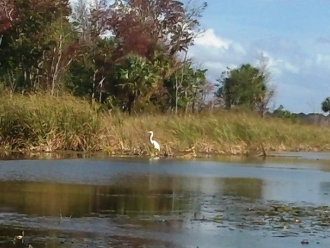 North Florida, Salt Springs Run