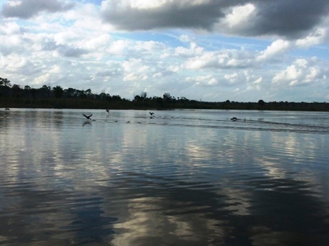 North Florida, Salt Springs Run