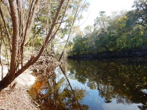 paddling Santa Fe River, Chastain Seay, kayak, canoe