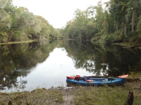 paddling Santa Fe River, River Rise to High Springs, kayak, canoe