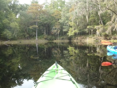 paddling Santa Fe River, River Rise to High Springs, kayak, canoe