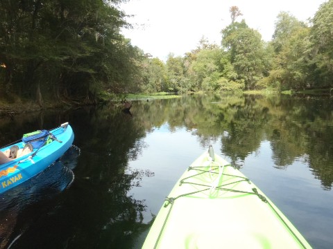 paddling Santa Fe River, River Rise to High Springs, kayak, canoe